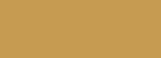 #c69b51 Color Information