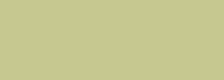 #c6c890 Color Information