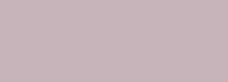 #c7b4ba Color Information