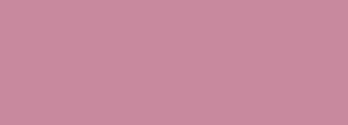 #c8889d Color Information