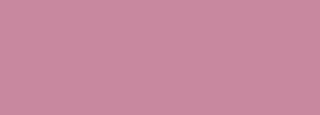 #c8889f Color Information