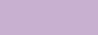 #c8b0d0 Color Information