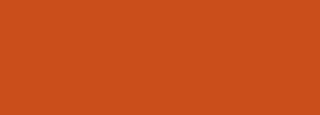 #c94e1c Color Information