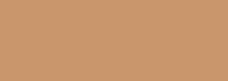 #c9966c Color Information