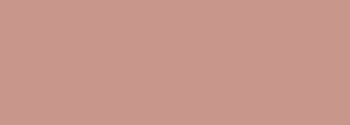 #c9968c Color Information