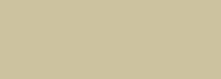 #c9c29d Color Information