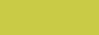 #c9cb46 Color Information