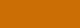#cb6e05 Color Information