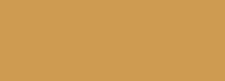 #ce9b51 Color Information