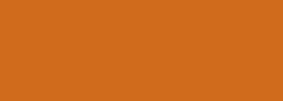 #d06b1c Color Information