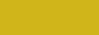 #d0b51a Color Information
