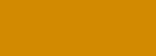 #d28a01 Color Information