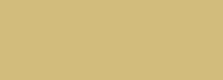 #d2bc7c Color Information