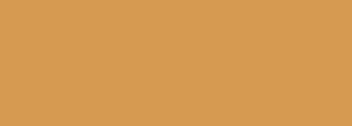 #d69b51 Color Information