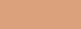 #dba17c Color Information
