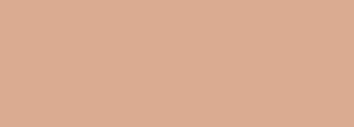 #dba890 Color Information