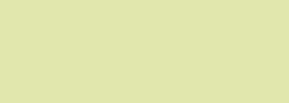 #e1e7ad Color Information