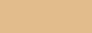 #e2bc8c Color Information