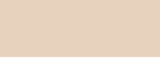 #e7d2bf Color Information