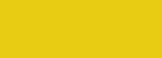 #e9cb15 Color Information