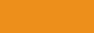 #ed901b Color Information