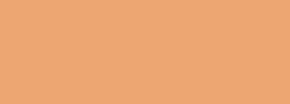 #eda672 Color Information