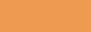#ee9b51 Color Information
