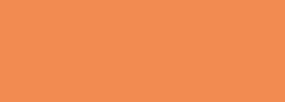 #f28b51 Color Information