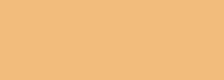 #f2bc7c Color Information