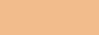 #f2bc8c Color Information
