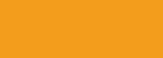 #f39d1c Color Information