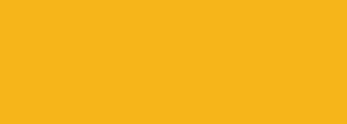 #f6b51a Color Information