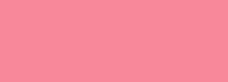 #f8889a Color Information
