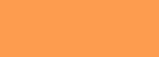 #f99b51 Color Information