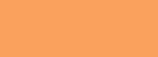 #f9a15d Color Information