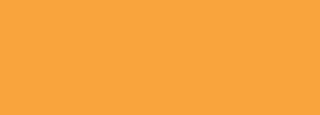 #f9a43d Color Information