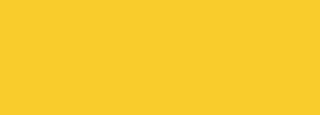 #f9cc2c Color Information