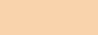 #f9d3ab Color Information