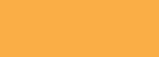 #faae46 Color Information