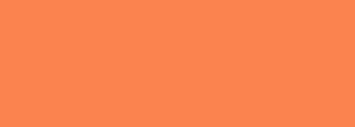 #fb834f Color Information