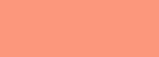#fc977c Color Information