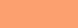 #fc9f6e Color Information