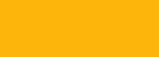 #fdb50c Color Information