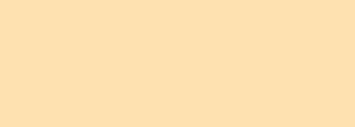 #fee1b0 Color Information
