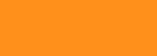 #ff901b Color Information