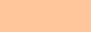 #ffc59b Color Information